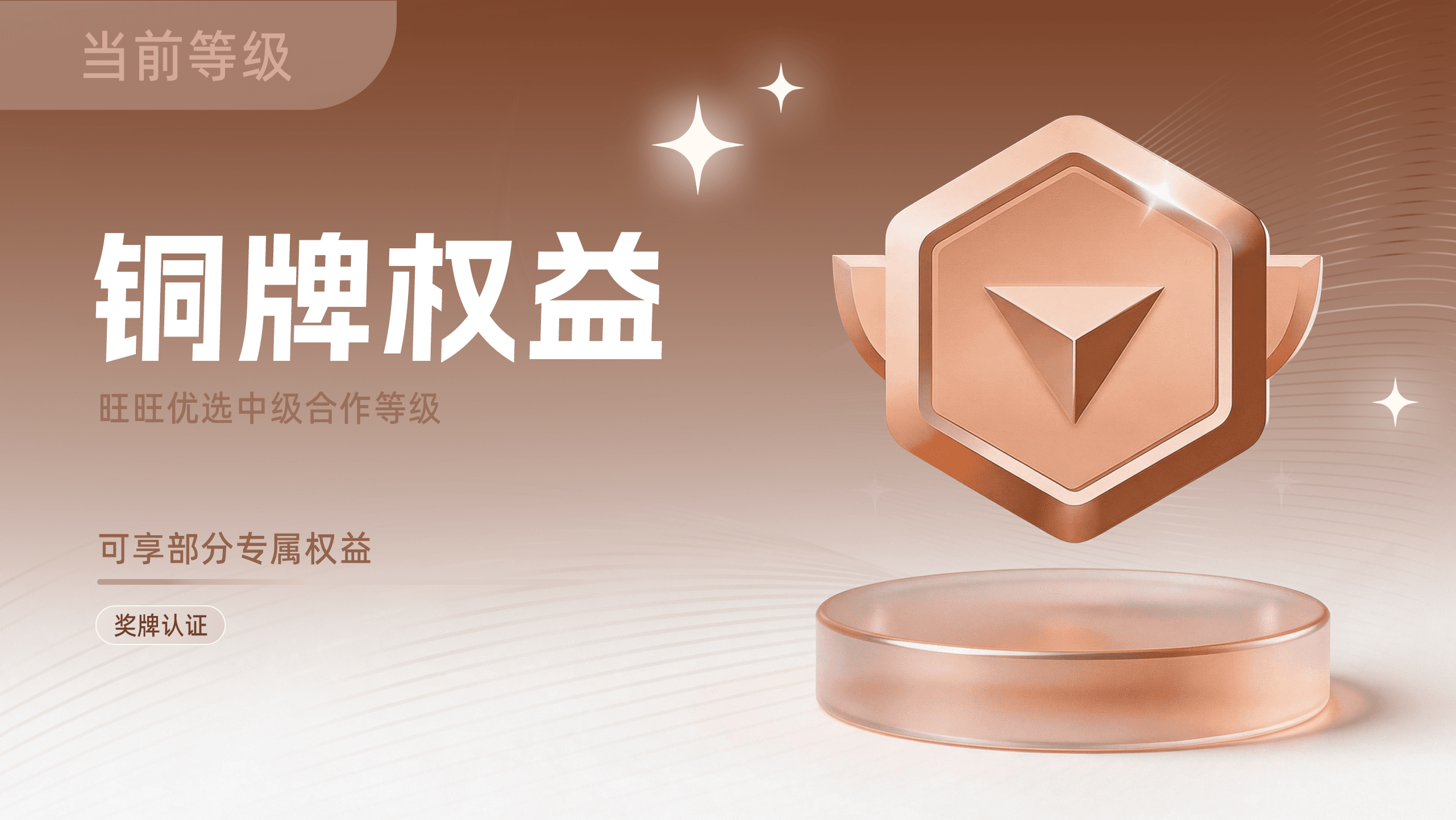 铜牌权益