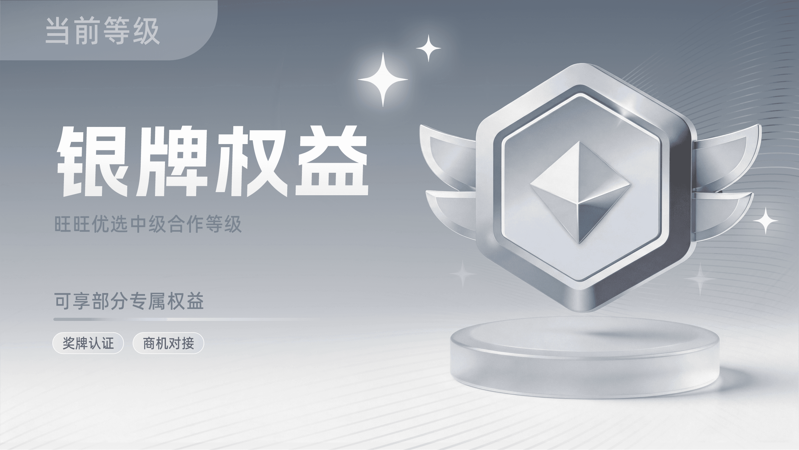 银牌权益
